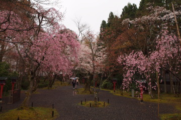 10-475.jpg