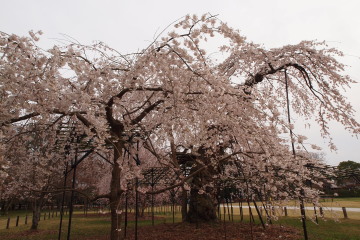 10-487.jpg
