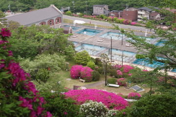 6-137.jpg