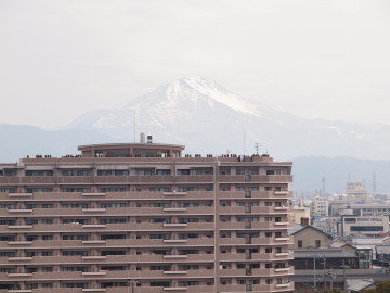6-859.jpg