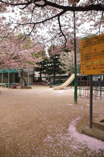 7-025.jpg