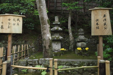 8-298.jpg