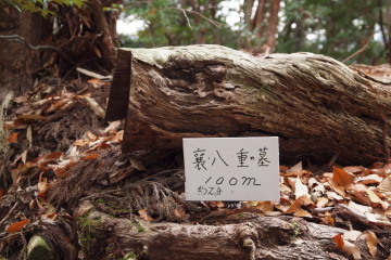 9-285.jpg