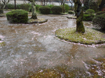 p7145.jpg