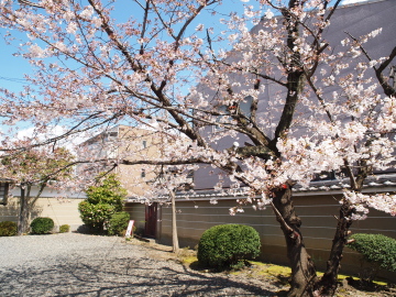 p7337.jpg