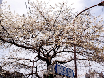 p7350.jpg