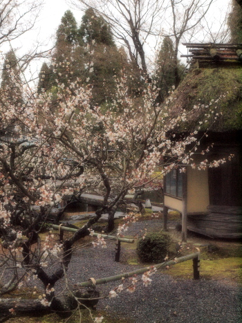 p7530.jpg