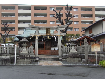 p7659.jpg
