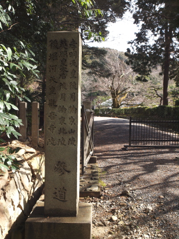 p7677.jpg